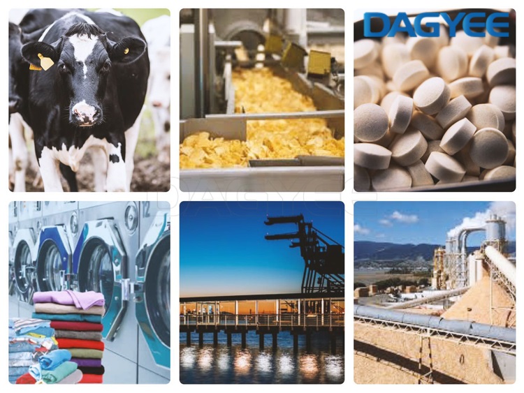 dissolved air flotation tank for food processing wastewater