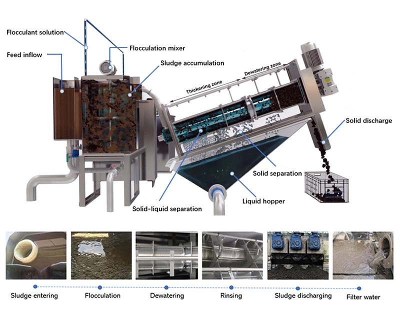 continuous screw press sludge dewatering equipment price